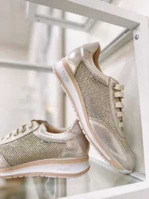 Urban Day Diavel - LAST ONE SIZE 41