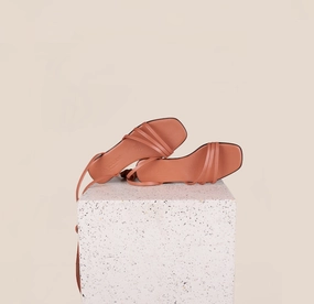 Amelia - Coral Rose Everyday Pick