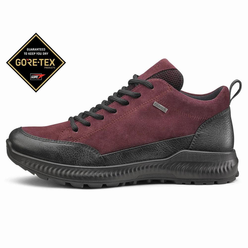 Light Layers Ara Highland GORE-TEX? Berry Suede Hiker Bootie (Women's)