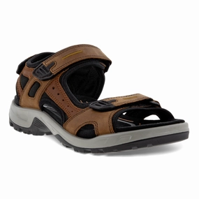 Ecco Yucatan Espresso Sandal (Men's) Vacation Flip-flops Step Stable