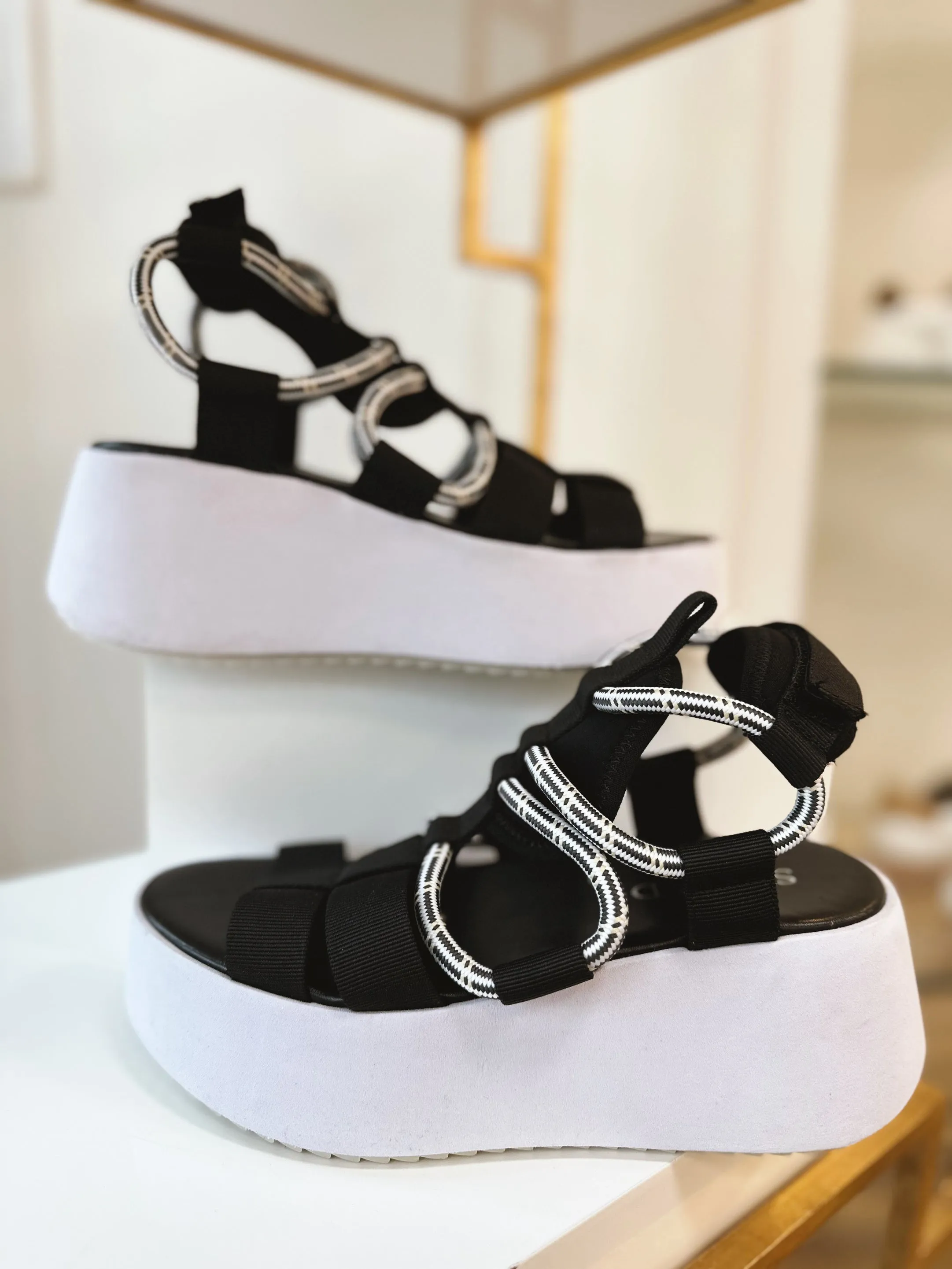 Cynthia - Black hypoallergenic