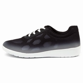 Family Meet All Day Comfort Feature Ziera Umbria Black Ombre/White Sole Textile Sneaker (Women's)