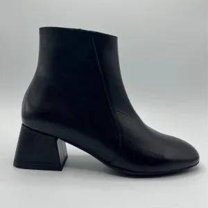 Sock Like Collar Wonders Frances