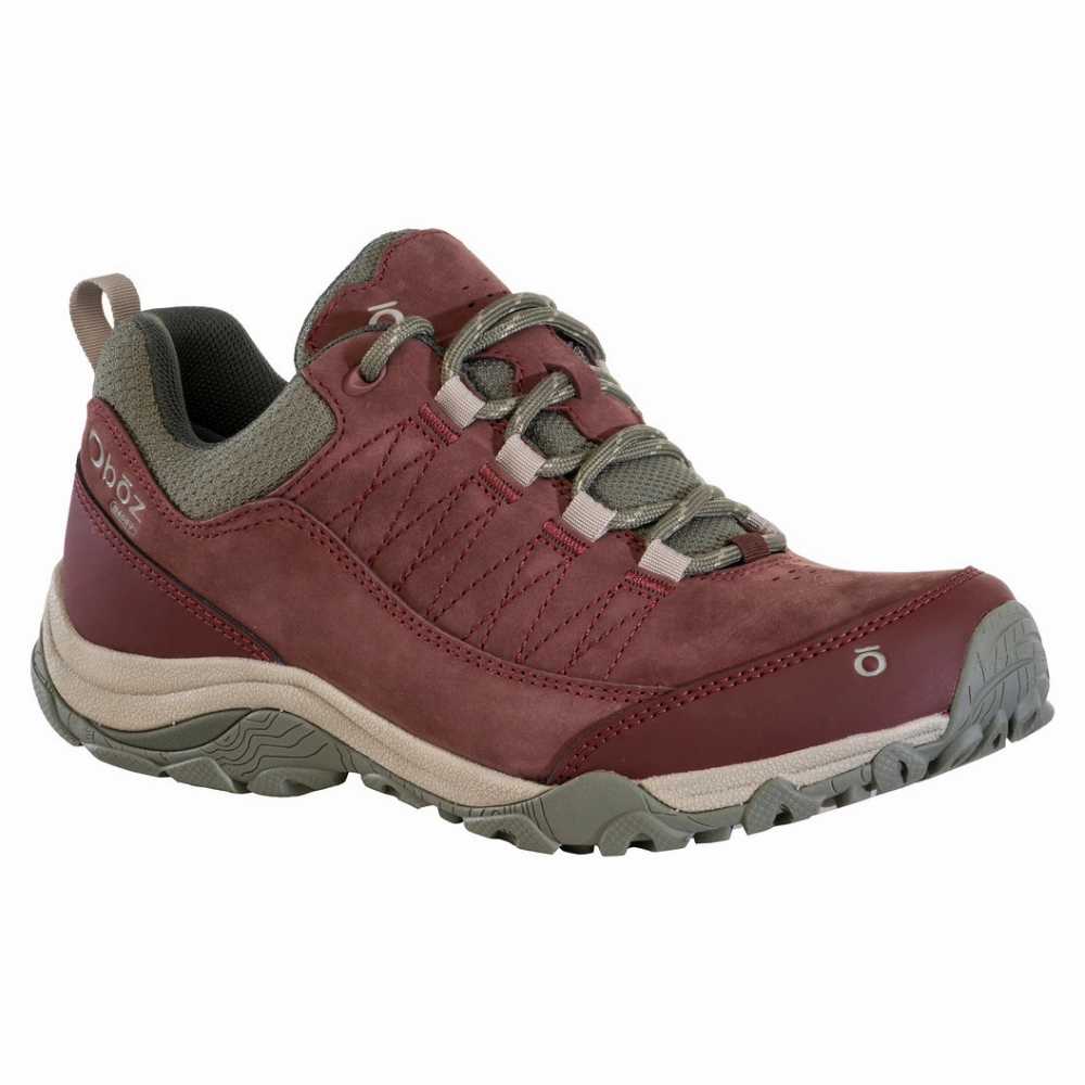 Oboz Ousel Low Port Waterproof Hiking Shoe (Women's) Smart Fit