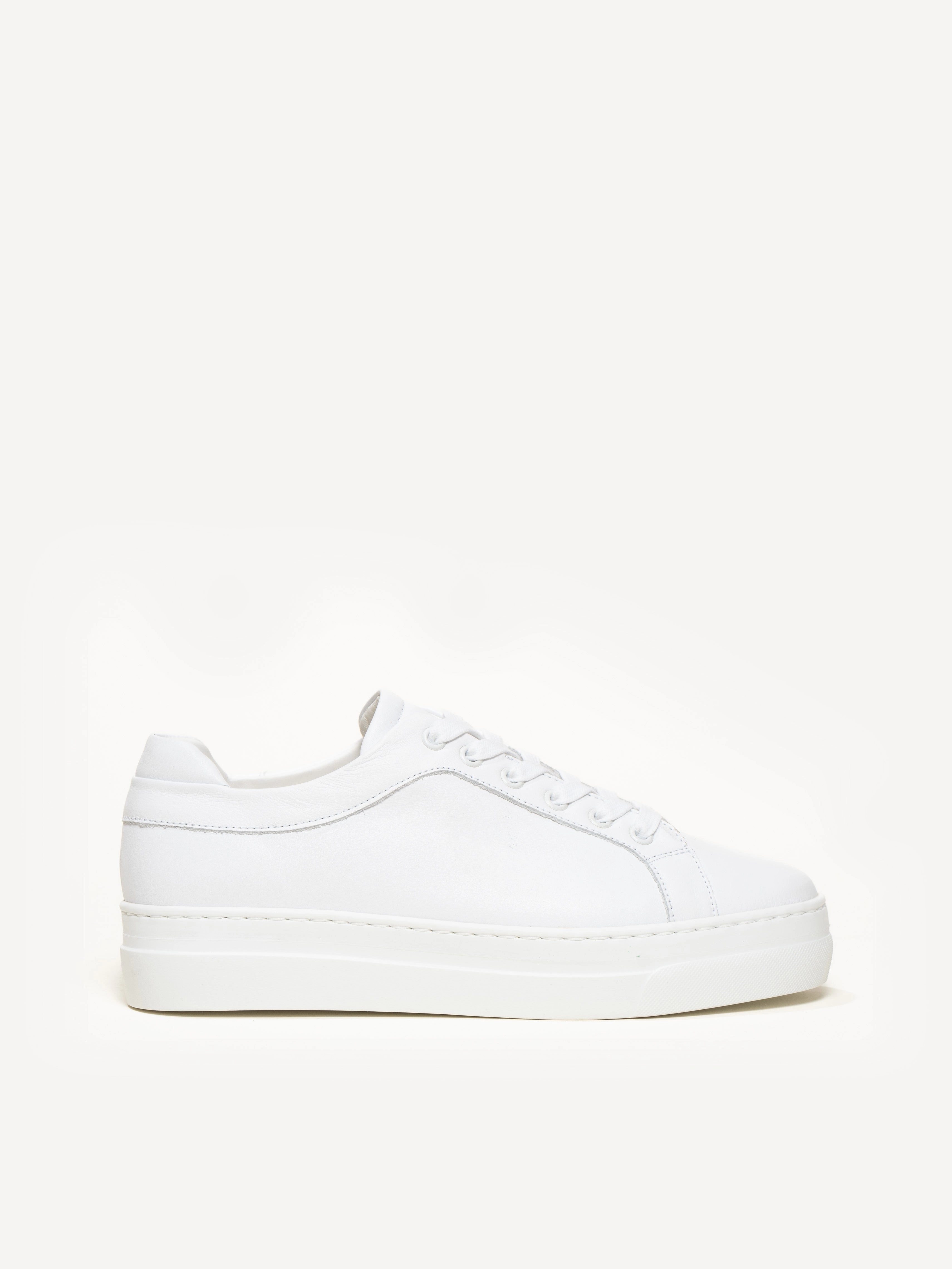 Neutral Stride Fresh Touch The Palestra Alta