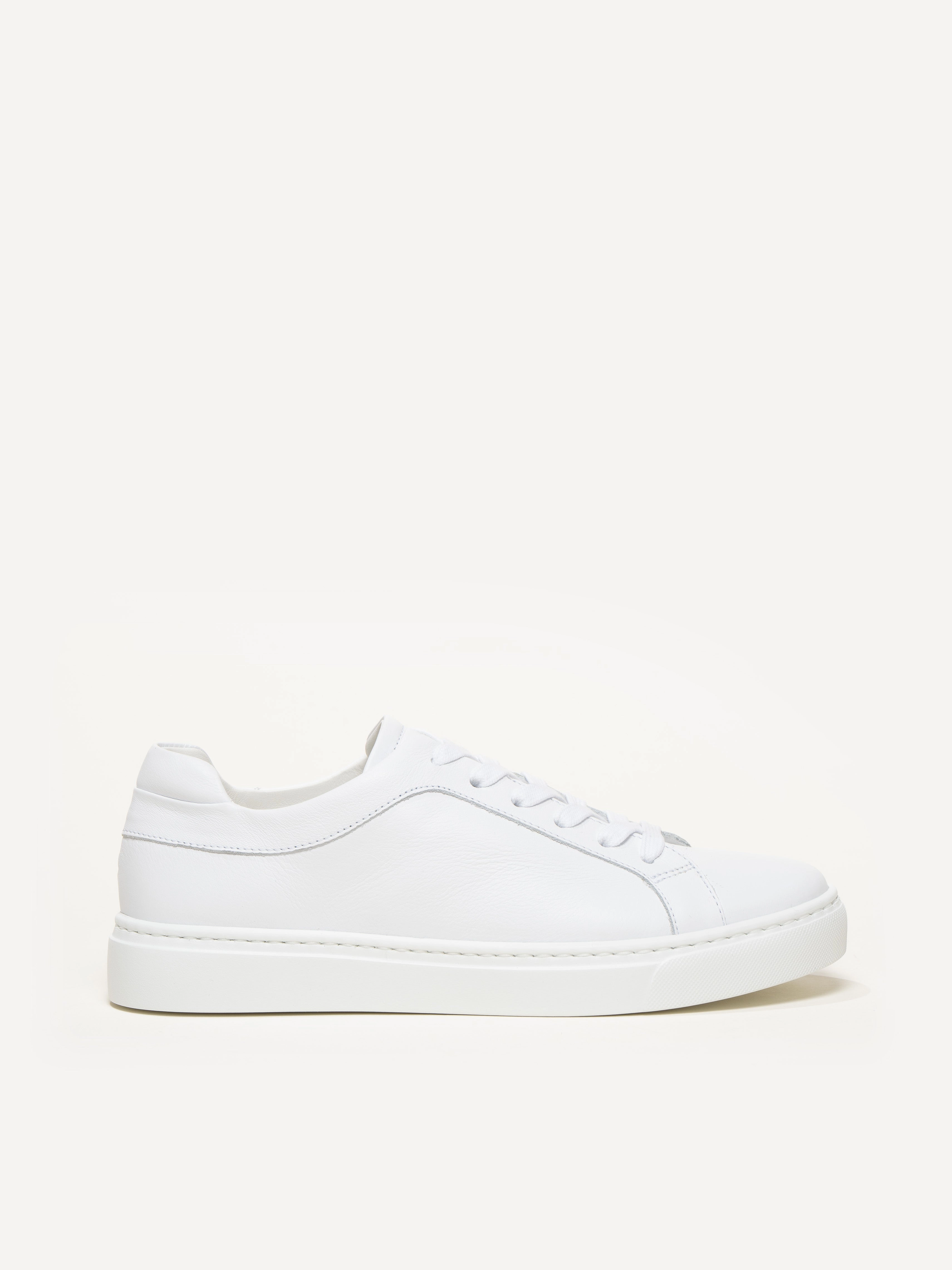 The Palestra Due Impact Dispersing Geometries